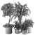 Green Oasis Indoor Plant Set 3D model small image 6