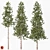 Tall and Realistic Pinus Trees 3D model small image 1