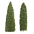  Pair of Majestic Golden Arborvitae Trees 3D model small image 3