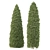  Pair of Majestic Golden Arborvitae Trees 3D model small image 5