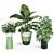 Exquisite Indoor & Outdoor Plant Set 3D model small image 2