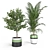 Exquisite Indoor & Outdoor Plant Set 3D model small image 3