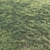 Green Grass Landscaping Solution 3D model small image 2