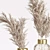 Elegant Dried Pampas Bouquets 3D model small image 3
