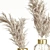 Elegant Dried Pampas Bouquets 3D model small image 9