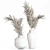 Elegant Dried Pampas Bouquets 3D model small image 11