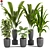 Exotic Indoor Houseplants For Stylish Interiors 3D model small image 1