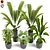 Exotic Indoor Houseplants For Stylish Interiors 3D model small image 2