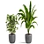 Exotic Indoor Houseplants For Stylish Interiors 3D model small image 5