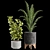 Indoor Plants Collection 3D model small image 4