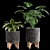 Indoor Plants Collection 3D model small image 5