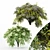 Japanese Angelica: Exquisite Bush Collection 3D model small image 1