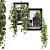 Rustic Indoor Plants - Set 150 3D model small image 2