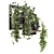 Rustic Indoor Plants - Set 150 3D model small image 6