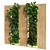 Vertical Greenery: 14-Piece Set 3D model small image 2