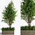 Concrete Box Outdoor Plant: Stunning and Low-Maintenance 3D model small image 1