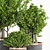 Lush Indoor Plant Set: 28 Varieties 3D model small image 3
