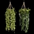 Lush Indoor Hanging Plant Trio 3D model small image 3