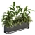 Tropical Paradise: Indoor Plant Set 3D model small image 1