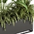 Tropical Paradise: Indoor Plant Set 3D model small image 4