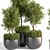 Outdoor Oasis Plant Set 3D model small image 2