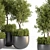 Outdoor Oasis Plant Set 3D model small image 3