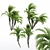 Curly Palm: Lifelike 3D Tree 3D model small image 1