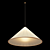 Architectural Pendant Lighting 3D model small image 1