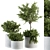 Growth Oasis: Indoor Plant Set 3D model small image 4