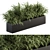 Polypodiales Plant Box Set: Outdoor Beauty 3D model small image 1