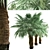 Blue Hesper Palm Delight - Set of 2 3D model small image 3