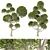 Nature's Haven Collection Tree Vol.1 3D model small image 1