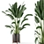 Indoor Oasis: Wooden Pot Plant Set 3D model small image 1