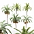 5-in-1 Majestic Date Palm & Queen Palm Tree 3D model small image 1