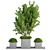Lush Outdoor Tree - 19 3D model small image 1