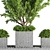 Lush Outdoor Tree - 19 3D model small image 4