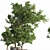 Versatile Outdoor Plant Set 3D model small image 3