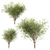 Fragile Willow Trio: 3 Sizes 3D model small image 4