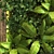 Versatile Green Wall Set 3D model small image 5