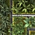 Green Wall Set 088: Versatile, Stylish, and Eco-Friendly! 3D model small image 3