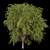 Premium Plant Collection: Volume 219 3D model small image 3