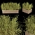 Premium Plant Collection Vol. 223 3D model small image 1