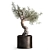 Exotic Olive Tree in Rusty Vase - Plant Collection 989 3D model small image 2