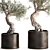 Exotic Olive Tree in Rusty Vase - Plant Collection 989 3D model small image 7