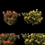 Floral Beauty Collection: Vibrant Flowering Bushes 3D model small image 1