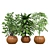 Designer Indoor Plants Collection 3D model small image 1