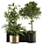 Green Oasis Indoor Plant Set 3D model small image 1