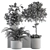 Green Oasis Indoor Plant Set 3D model small image 5