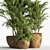 Elegant Indoor Plant Set 3D model small image 3