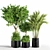 Green Oasis Indoor Plant Set 3D model small image 1